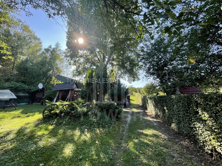 Teren deosebit cu cabană din lemn, Tocile – locație liniștită - 16