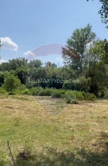 Teren-5000mp DN Ganeasa,sat Sindrilita,T9/Parcela 32/37 - 4