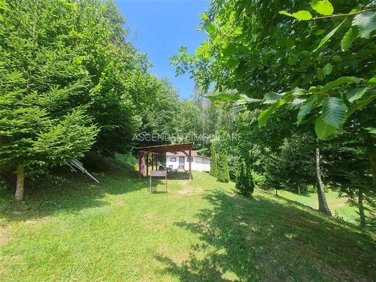 Refugiu idilic cu oglinda de apa, panorama montana, Glajerie/Rasnov, ideal mini - 3