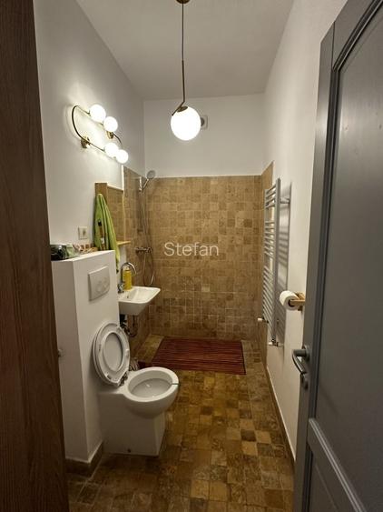 Casa singur curte de inchiriat, renovata, aer conditionat, centrala cu pivnita 2 - 8