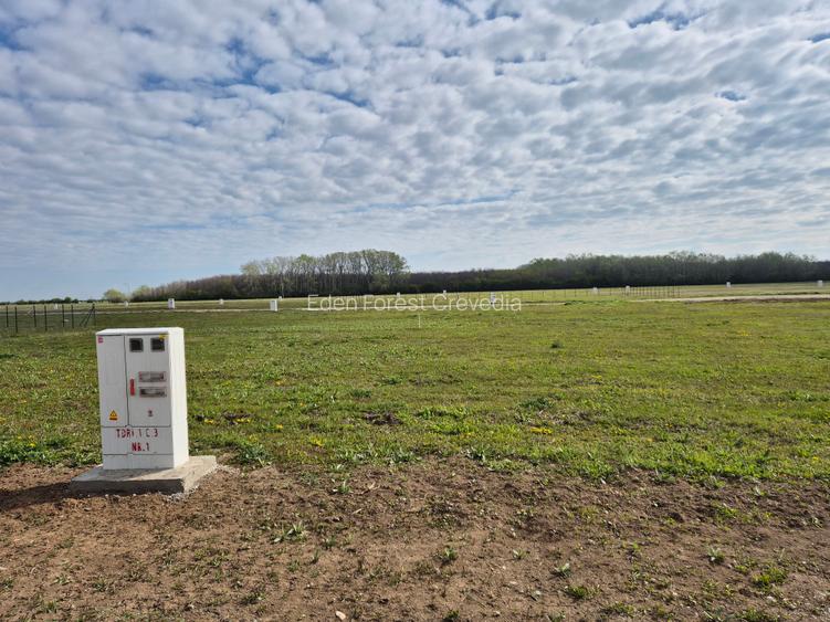 Teren 638 mp proiect Eden Forest Crevedia, langa padure - 2