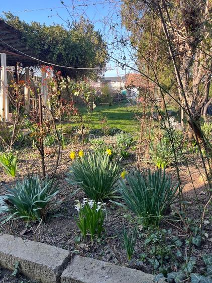 Oradea casa situata central pentru afacere sau locuinta - 10