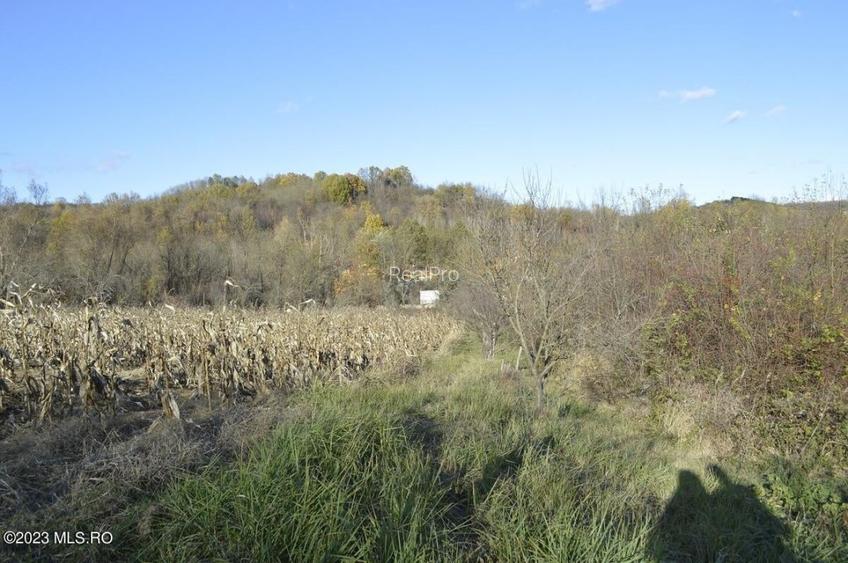 Babana - Centru - Primarie, Teren intravilan 13742 mp! - 7