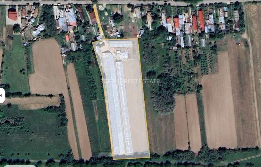 Afacere la cheie! Incasari din prima zi!!! - 9