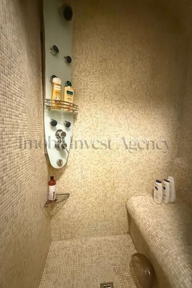 Apartament cu 3 camere de inchiriat in zona Herastrau-Soseaua Nordului - 17