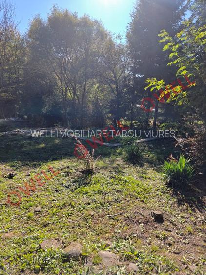 De vânzare un teren intravilan de 2.149 m² în Sovata, pe strada Vânătorilor - 2