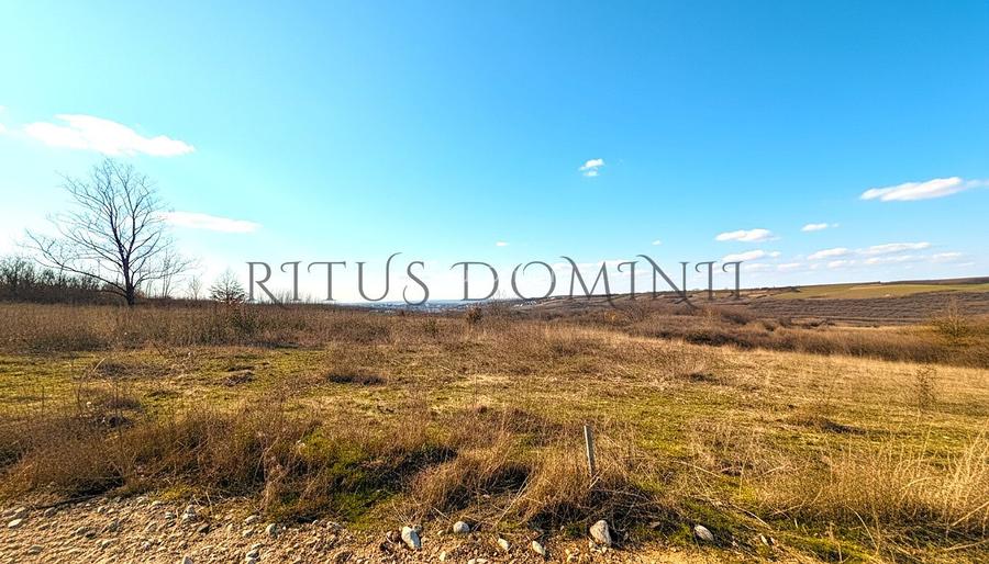 Teren Intravilan Parcelare, Lac Paleu, 8592mp, Deschidere 32ml - 2