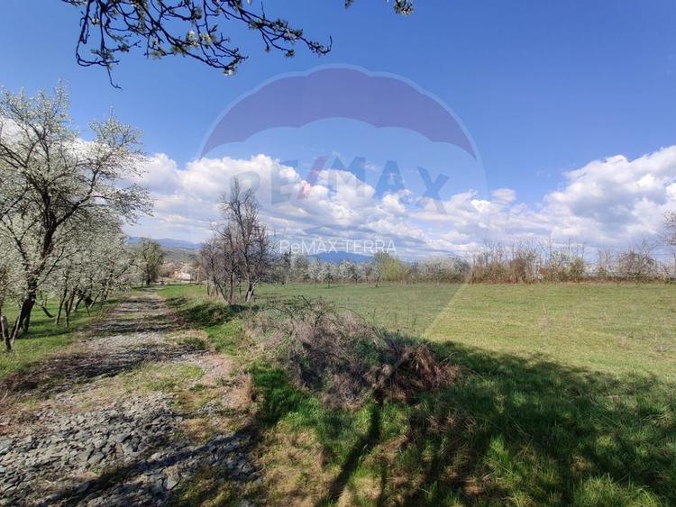 Teren intravilan pentru casă Cărbunari - 10