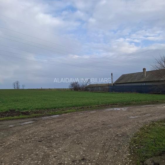 Corbu-3125mp in vatra satului,12euro/mp - 4