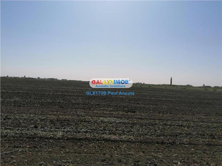 Teren 25000 mp Corbeanca str Floarea Soarelui cu PUZ Lotizat - 2