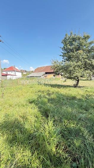 OCOLIS casa batraneasca cu sura si 14 ari teren! - 6