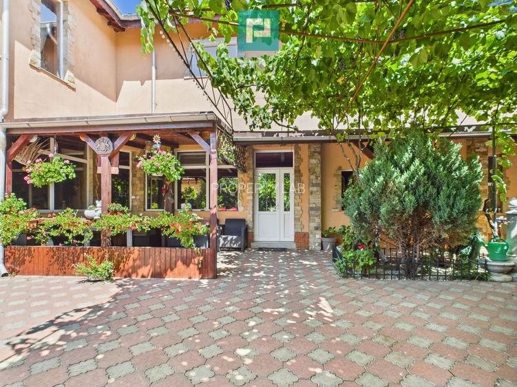 Pensiune la Orțișoara - 48