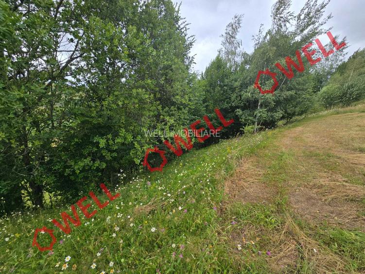 De vânzare teren extravilan loc. Sărămaș! - 6