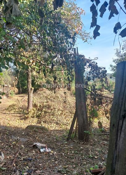 CASĂ DE VÂNZARE 2 CAMERE\ ZĂVOI\ JUD. CARAȘ-SEVERIN - 3