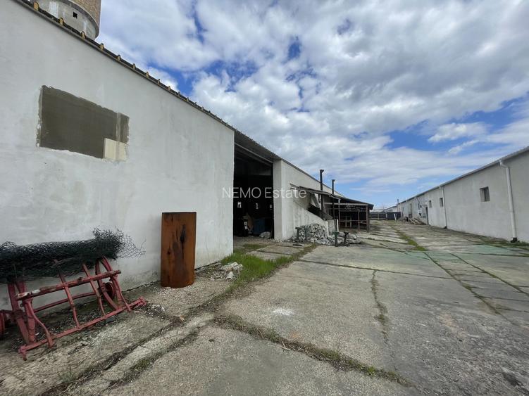 Hala Industrială / Agricolă | 800 MP Construcție + 800 MP Teren | - 8
