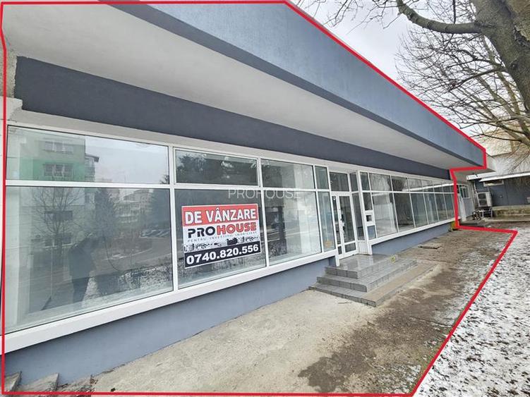 Spatiu Comercial, 250mp, Narcisa-ONIX - 3