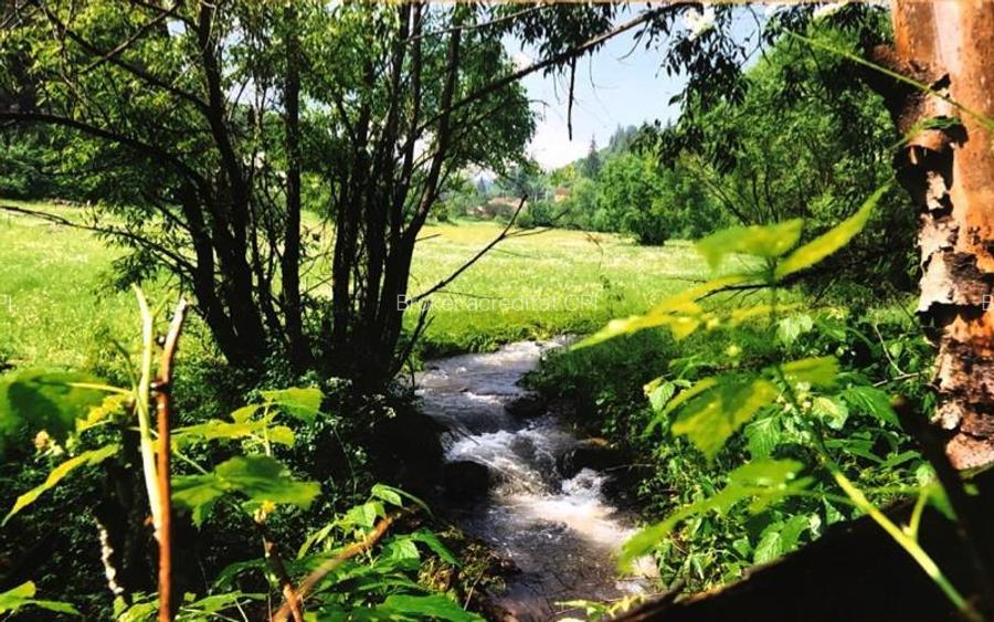 Teren intravilan si padure de brad 34.000 mp Varsag, Harghita - 3