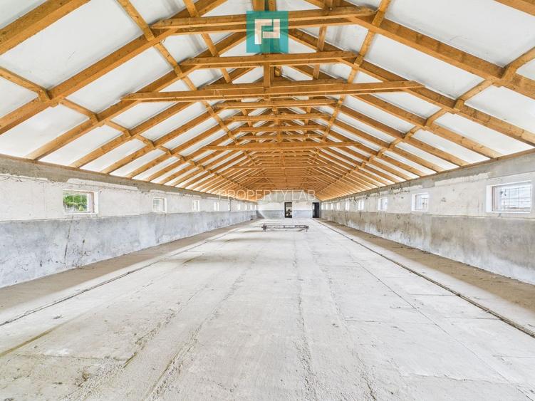 Hală pentru producție / fermă zootehnică  - Variaș - 8