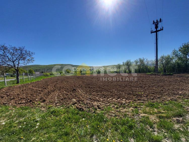 Teren intravilan de vânzare | 2942 mp | Ciurila, Cluj - 4