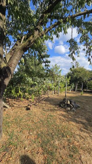 Casă și teren de vânzare – Zona Careiului - 3