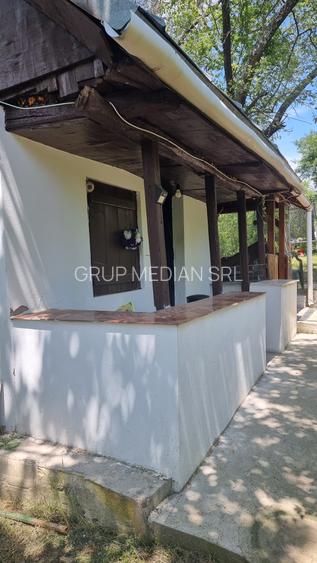 Proprietate de vanzare in Golești - 10800 mp teren și două case - 3