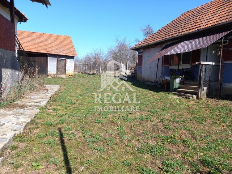 Două case de vânzare – Cerisor – teren generos 6996 mp