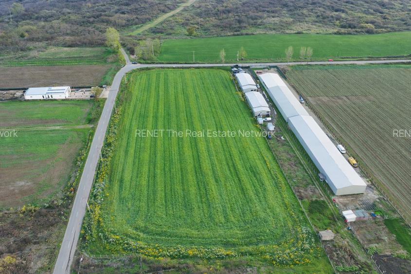 Teren intravilan 7.811 mp | Ciolpani, Ilfov | Acces drum public - 7