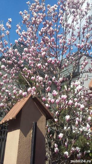 Izbiceni-Damaroaia-Casa Presei,P+E+M,zona verde,aerisita,casa luminoasa,6 camere - 10