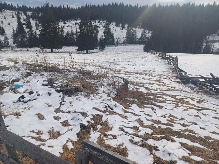 Vand teren intravilan muntele rece - 4