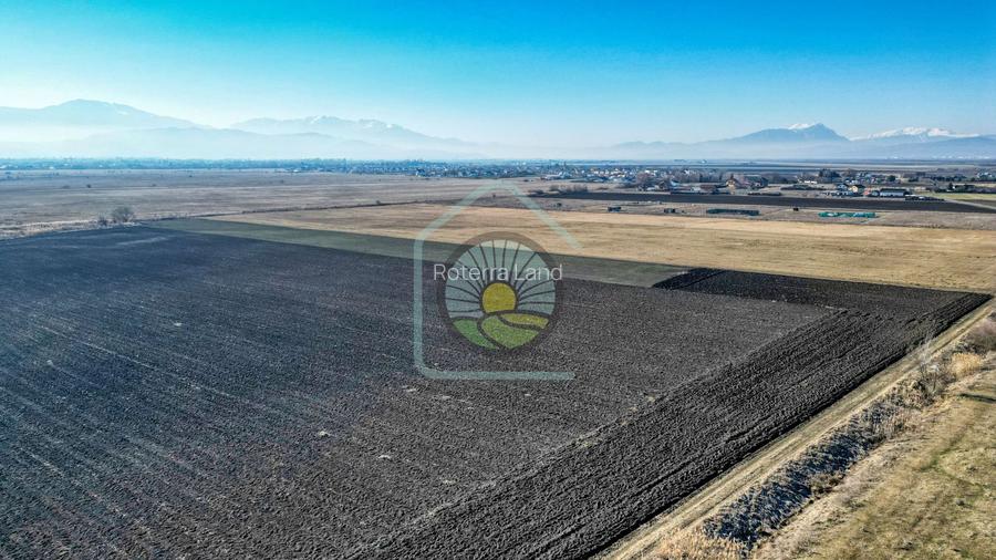 TEREN STUPINI-COMISION 0 - 5