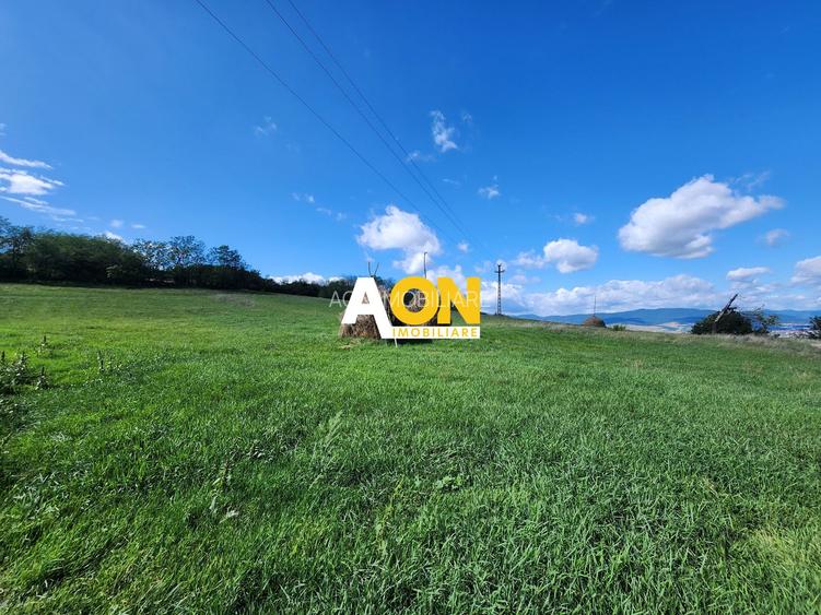 De vanzare 2965 mp teren intravilan, toate utilitatile, Oarda de Sus - 6