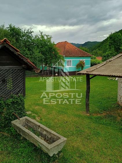 Casa batraneasca de vanzare, 4 camere, in Hunedoara, sat Micanesti - 30