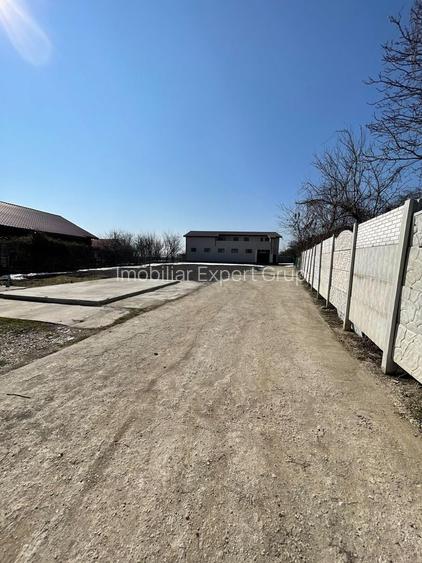 Hala 595 mp + teren 1500 mp Frumusani ( stradal ) - 8