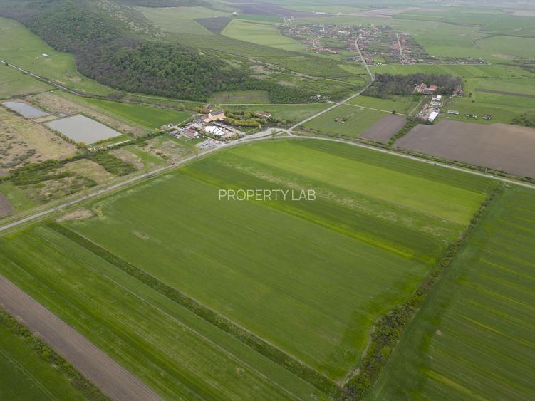 Teren extravilan de 22500mp Zona Ineu - 5