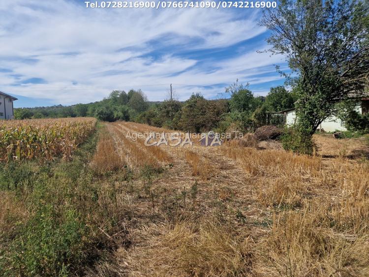 Teren Intravilan (2309 mp), situat in Turcinesti-Cartiu - 3