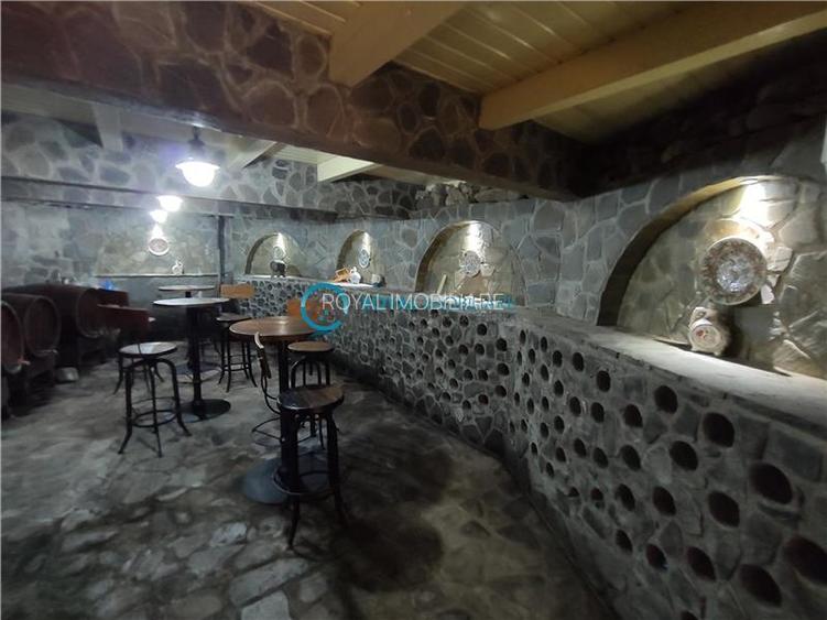 Royal Imobiliare -vanzare vila/ casa de vacanta zona CAMPINA - 8