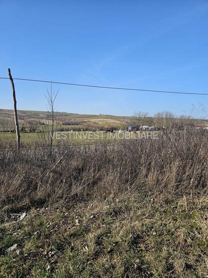 Teren intravilan Cetariu 1500 mp - 7