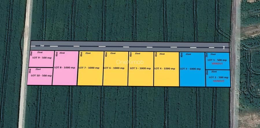 LOTURI DE 1000 MP | Padurea Snagov - Izvorani |  ULTIMELE LOTURI DISPONIBILE - 2