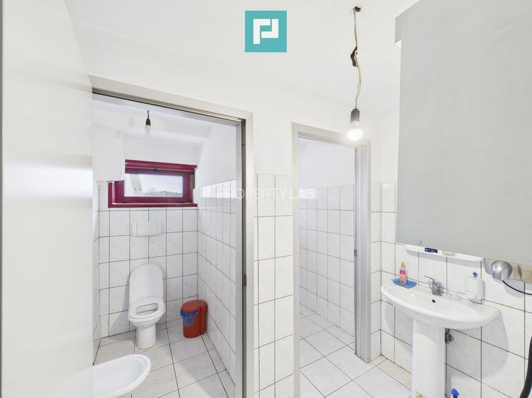 Hală de producție, cu birouri și teren, în Sebiș - 35