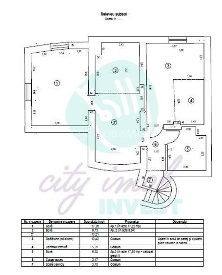Grădina Icoanei – vilă cu potențial multiplu - 7