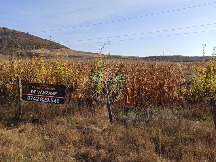 Teren 4606 mp-ideal investitie-Sarata - 2