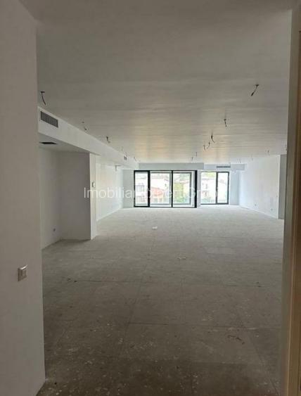 Barbu Văcărescu, spațiu în suprafață utilă de 230 - 4