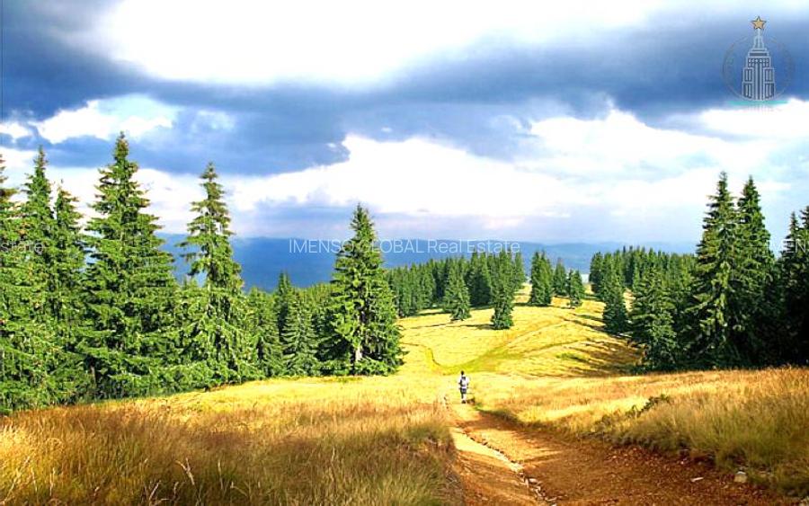 Teren intravilan 24000 mp potential imens - Izvoru Muresului, Harghita - 4