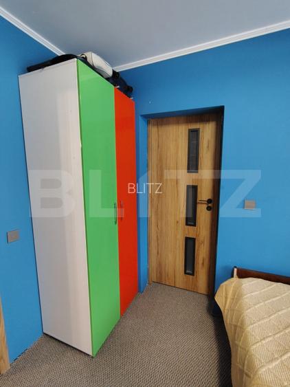 Proprietate cu 2 case, una fiind traditionala, Dezmir  - 10