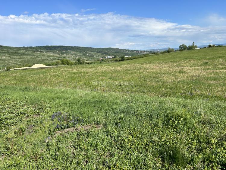 Teren Valea Chintaului / Cluj 5.547mp  parcelabil  - 3