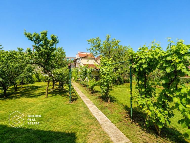 Casa cu teren 688 mp, 2 corpuri de cladire, Parneava - 20