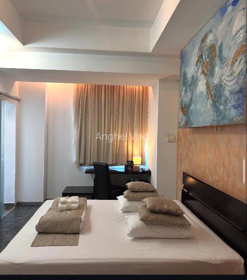 Proprietar vând Hotel Boutique  la Timișoara  - 2