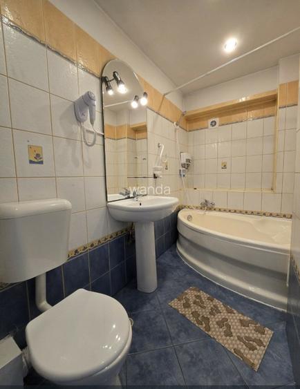 PROPRIETAR VAND GARSONIERA CORNELIU COPOSU  - 4