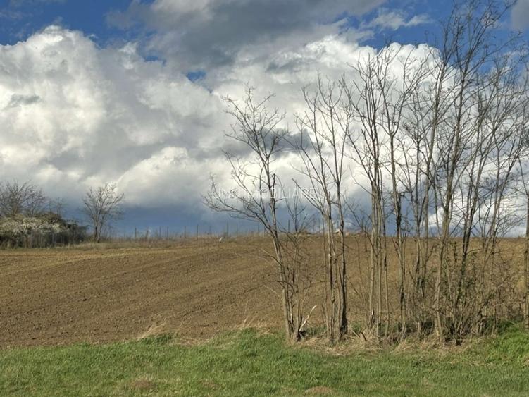 ULTIMELE Parcele 10000euro în extravilan Rediu Iași, 1.3km de Primărie, 424mp - 3