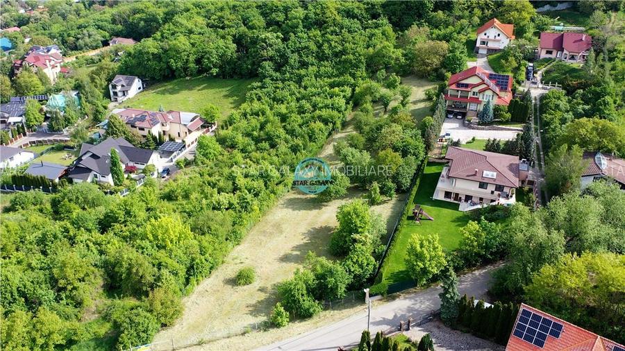 Ocazie Unica - Teren la Platoul Cornesti la doar 143 euro + TVA ! - 7